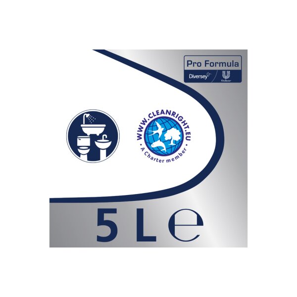 Professional Badreiniger 2in1, 5 Liter