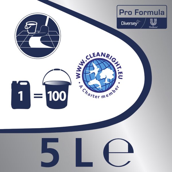 Professional Allzweckreiniger, Zitrus, 5 Liter